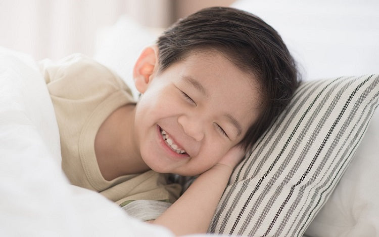 Organic Toddler Pillow 13x18 with Adjustable Loft Feature by A Little Pillow Company, Eco-Friendly, Made in the USA