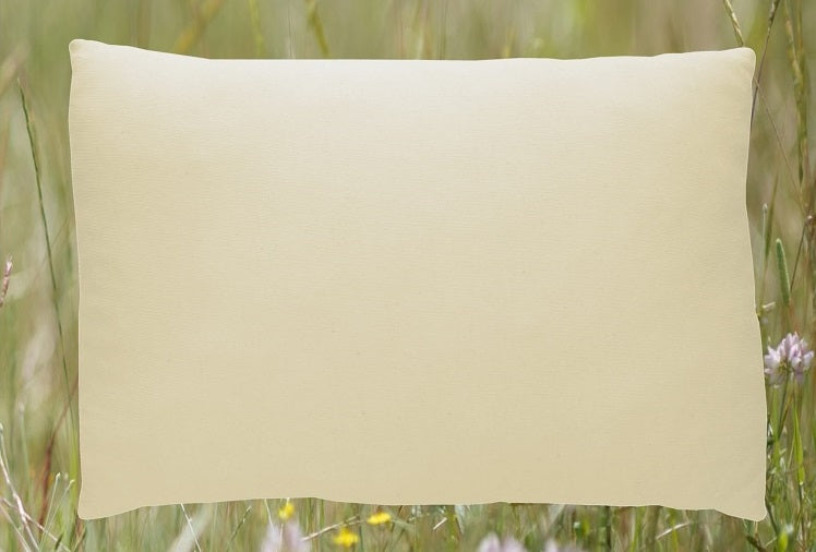 Empty organic zippered pillow shell from A Little Pillow Company. Made in USA. Machine-Washable.