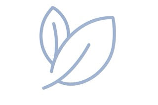 Outline of a leaf on a white background