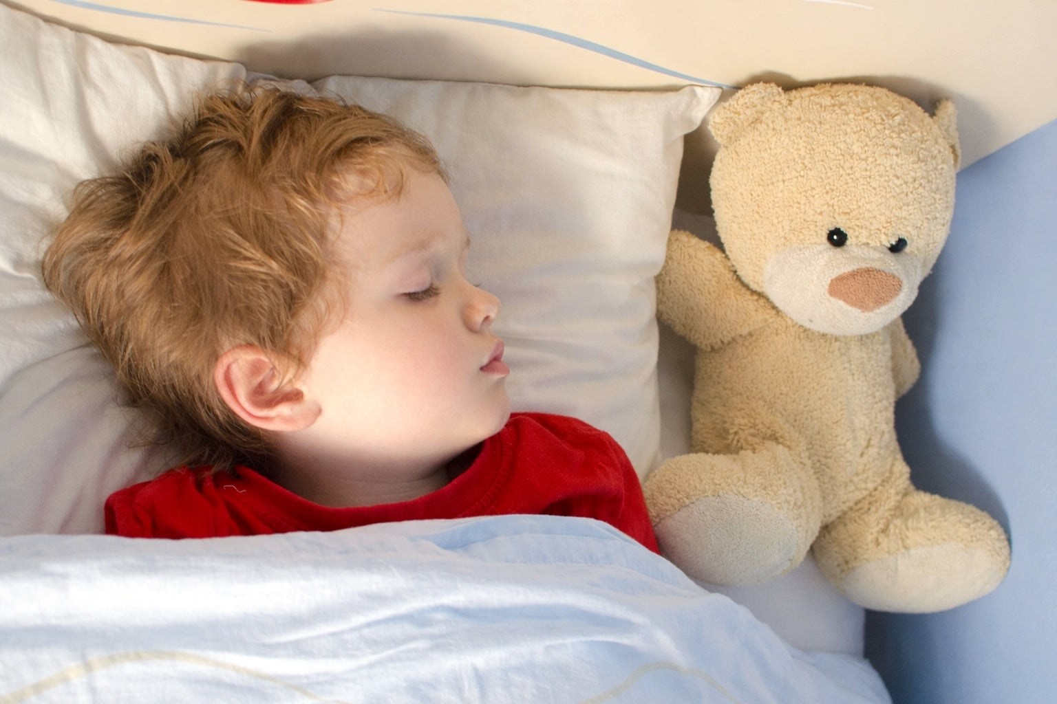 Organic Toddler Pillow (2-4 yrs)