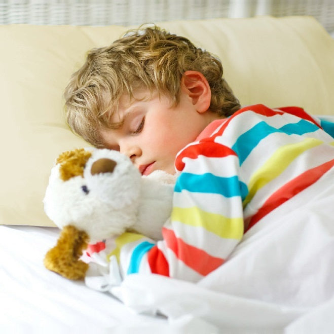 Child Pillow, Sustainably Made in Virginia since 2007, Hypoallergenic, Machine-Washable, Eco-Friendly, Adjustable Loft, 16x22, by A Little Pillow Company